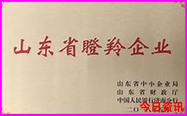 贵州风景最美的地方